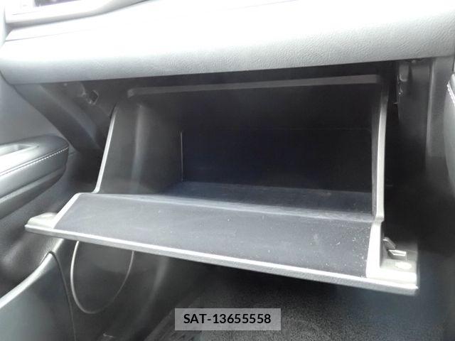 Lexus RX 2021-03 7059319-17
