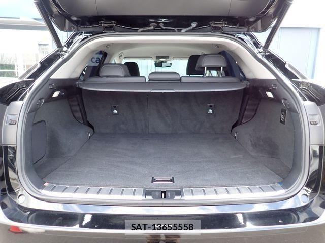Lexus RX 2021-03 7059319-20
