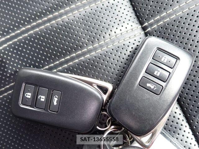 Lexus RX 2021-03 7059319-22