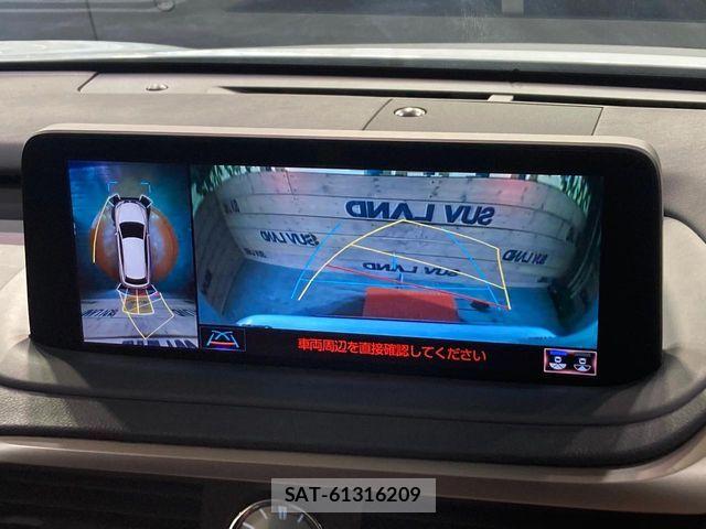 Lexus RX 2021-06 7059313-4