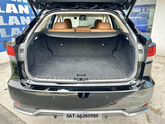 Lexus RX 2022-09 7059315-22