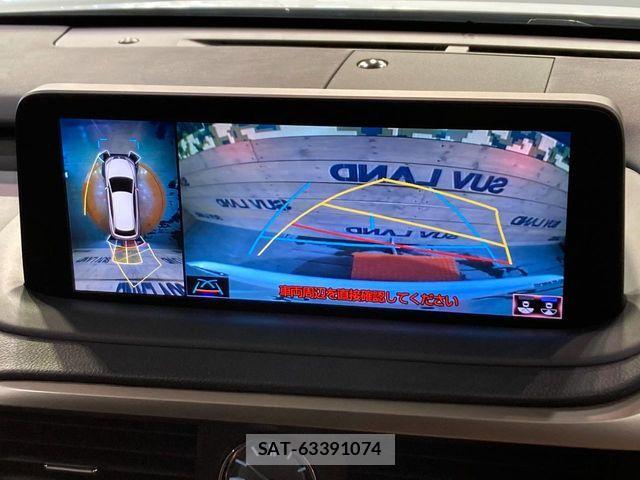 Lexus RX 2022-09 7221139-4