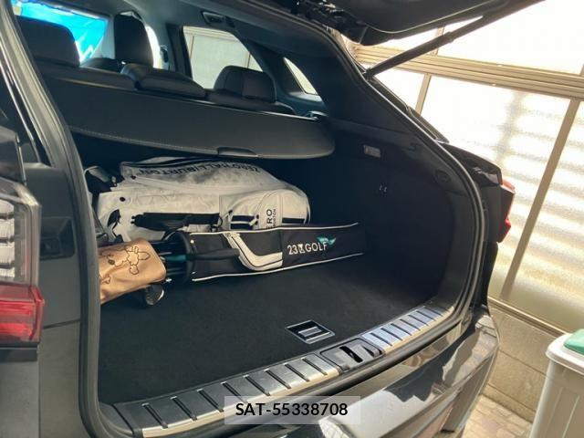 Lexus RX 2017-06 7215793-10