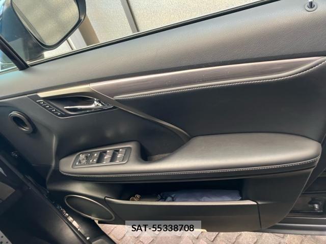 Lexus RX 2017-06 7215793-15