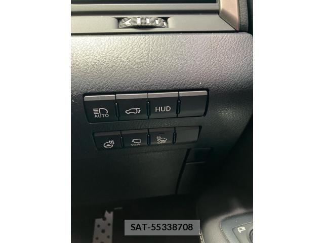 Lexus RX 2017-06 7215793-21