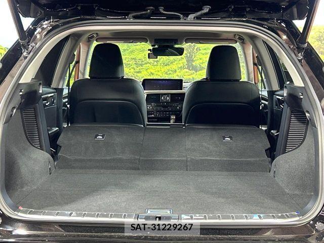 Lexus RX 2017-03 7221138-9