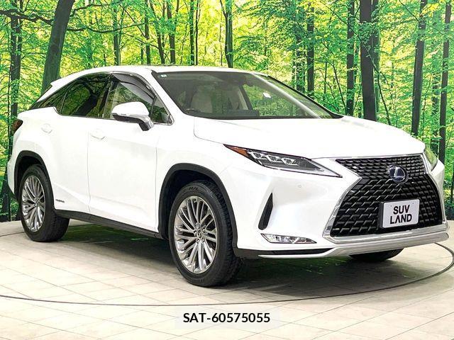 Lexus RX 2020-06 7251361-17