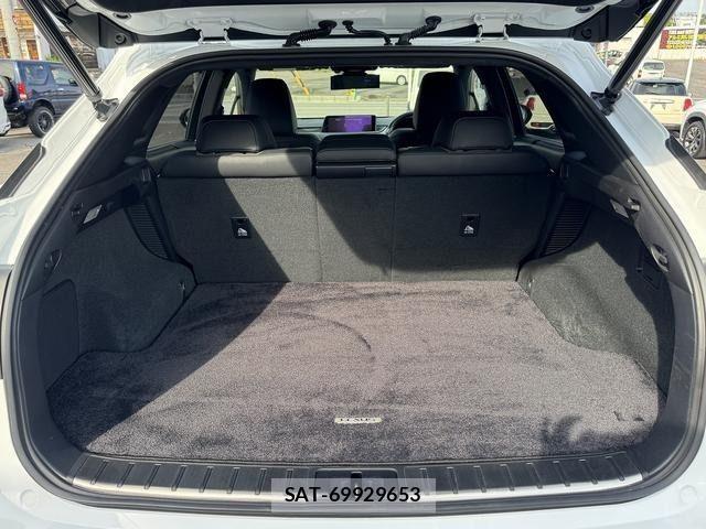 Lexus RX 2018-03 7251369-10