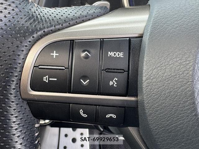 Lexus RX 2018-03 7251369-13
