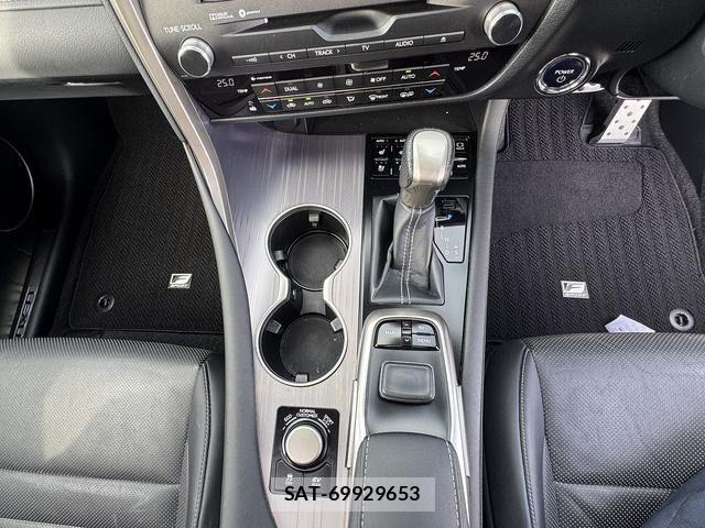 Lexus RX 2018-03 7251369-17