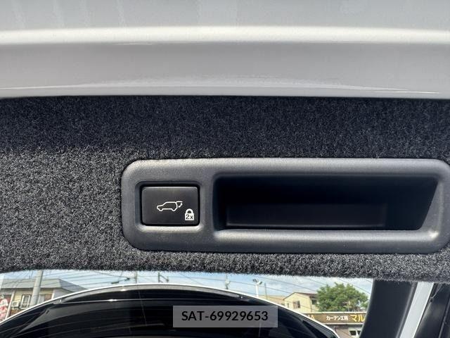 Lexus RX 2018-03 7251369-25