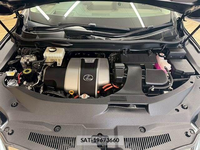 Lexus RX 2020-01 7251364-17