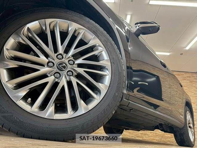 Lexus RX 2020-01 7251364-18