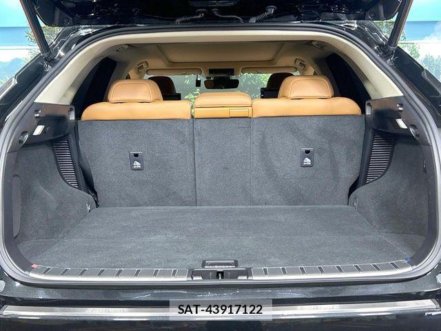 Lexus RX 2020-03 7251365-10