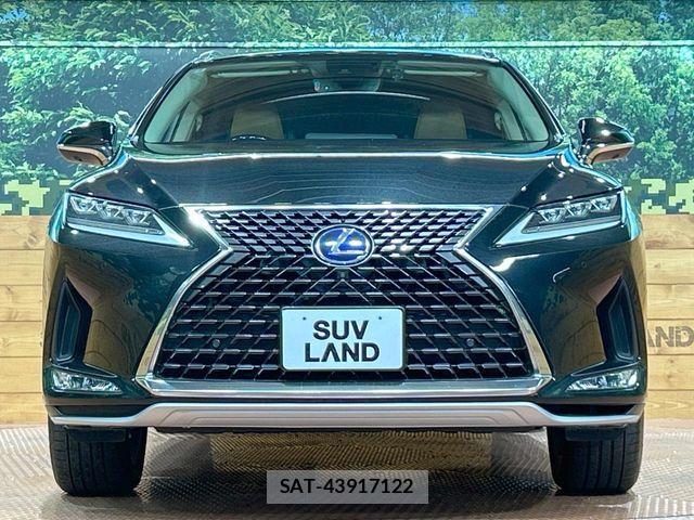 Lexus RX 2020-03 7251365-14