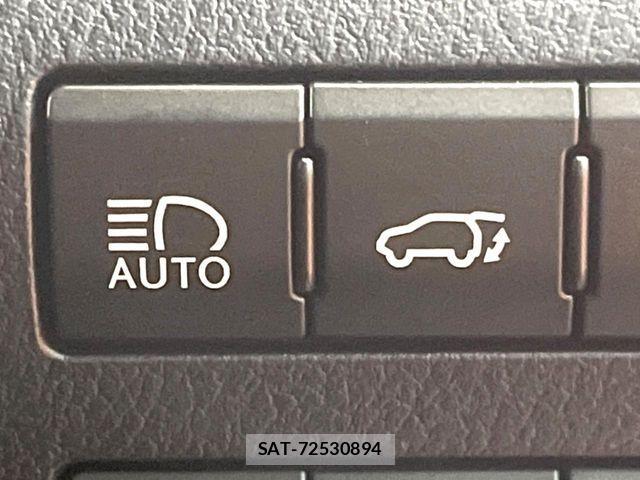 Lexus RX 2021-07 7272248-9