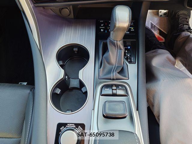 Lexus RX 2019-04 7358559-17