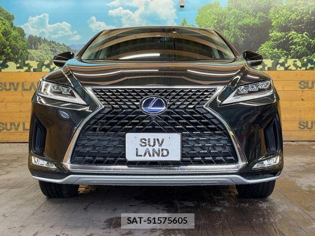 Lexus RX 2020-01 7358566-14