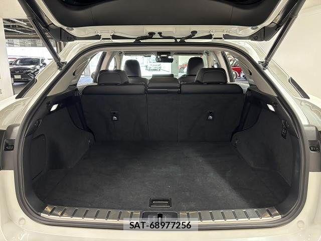 Lexus RX 2019-12 7358563-12