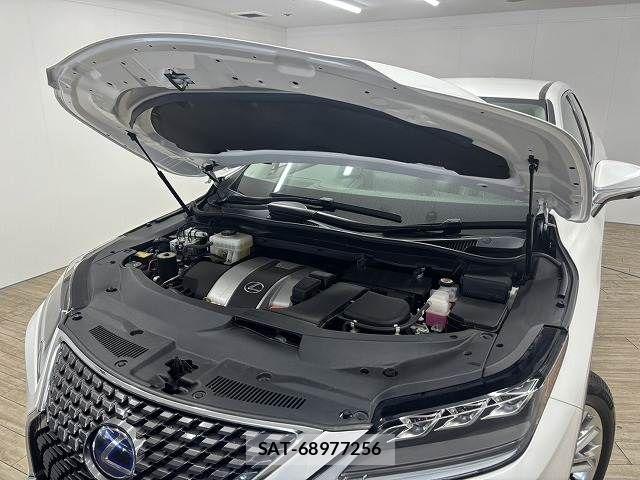 Lexus RX 2019-12 7358563-17
