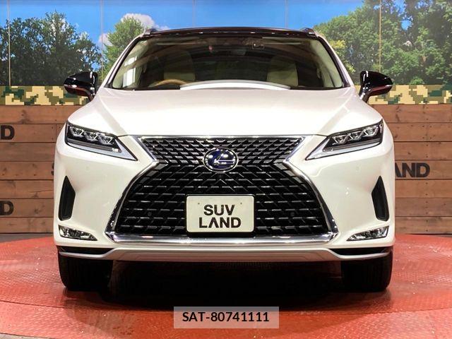 Lexus RX 2019-09 7358564-13
