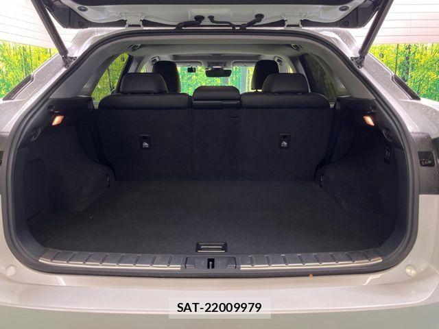 Lexus RX 2016-05 7392702-10