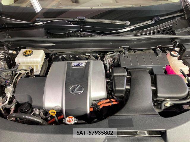 Lexus RX 2019-05 7501327-17