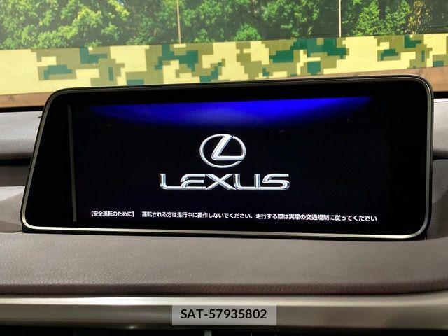 Lexus RX 2019-05 7501327-5