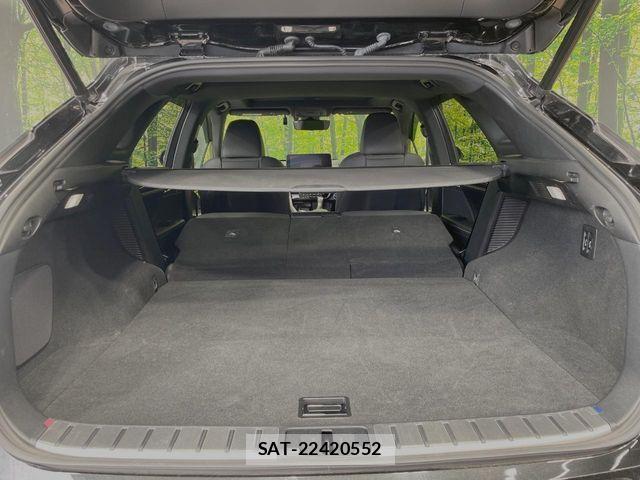 Lexus RX 2020-05 7617736-9