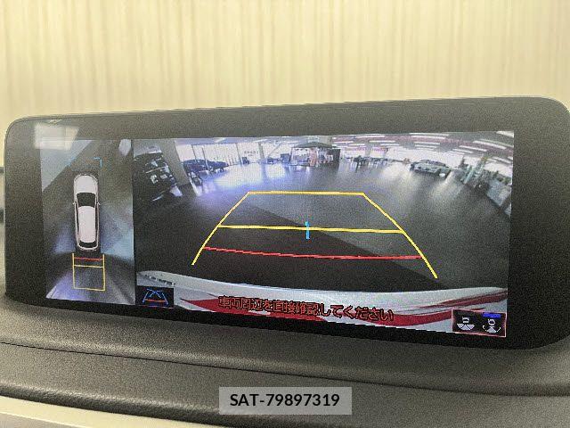 Lexus RX 2021-04 7877459-10