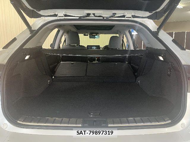 Lexus RX 2021-04 7877459-20