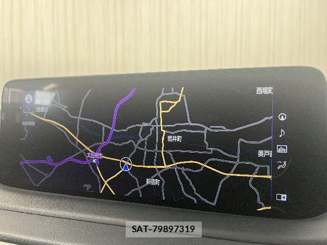 Lexus RX 2021-04 7877459-4
