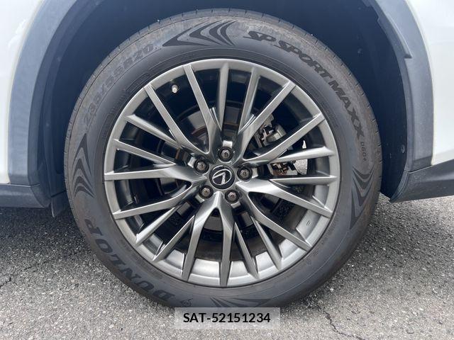 Lexus RX 2019-11 7902877-11