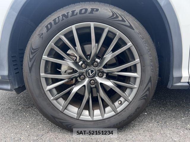 Lexus RX 2019-11 7902877-12