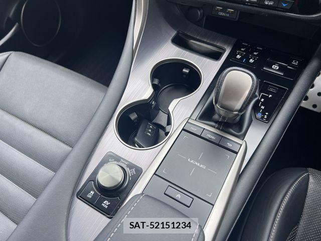 Lexus RX 2019-11 7902877-20
