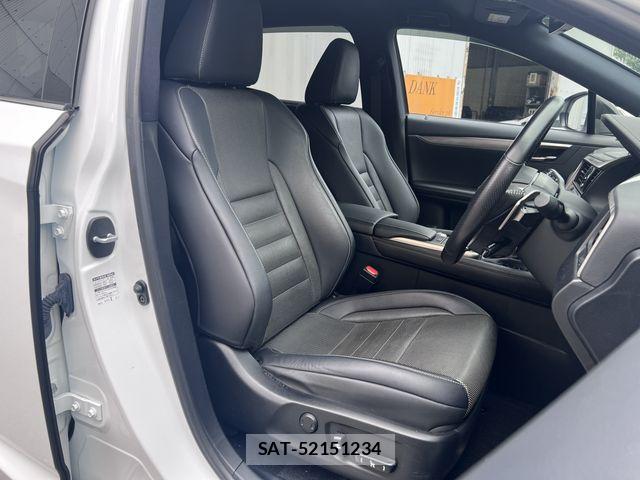 Lexus RX 2019-11 7902877-24