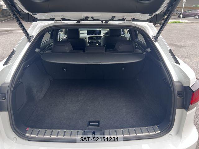 Lexus RX 2019-11 7902877-26