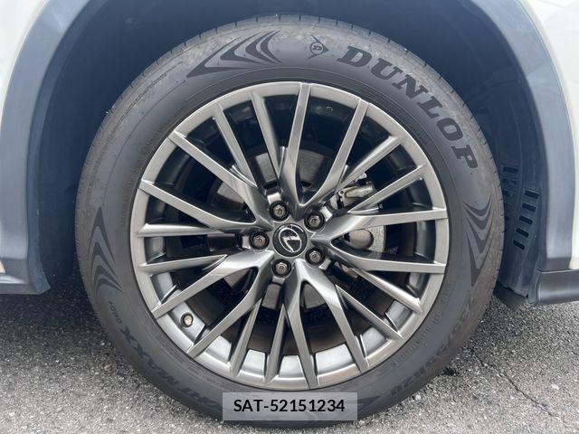 Lexus RX 2019-11 7902877-5