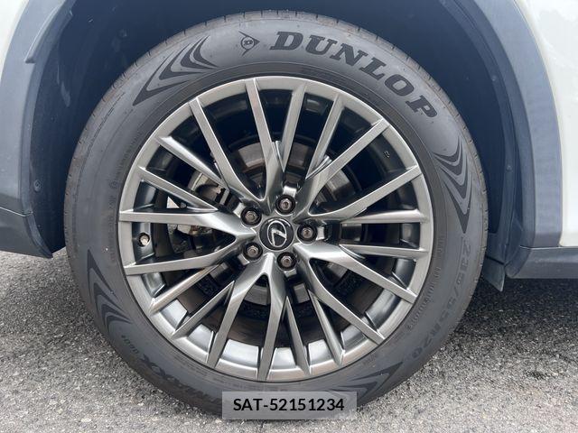 Lexus RX 2019-11 7902877-6