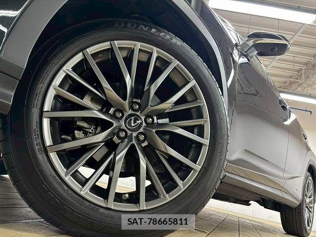 Lexus RX 2020-01 7962461-13