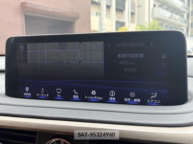 Lexus RX 2021-06 7962462-9
