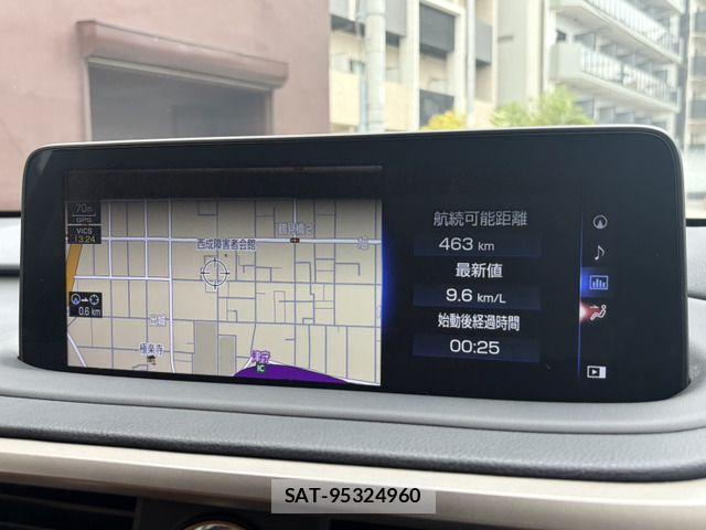 Lexus RX 2021-06 7962462-7