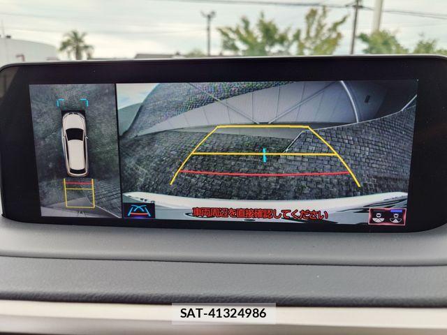Lexus RX 2019-09 7962460-15