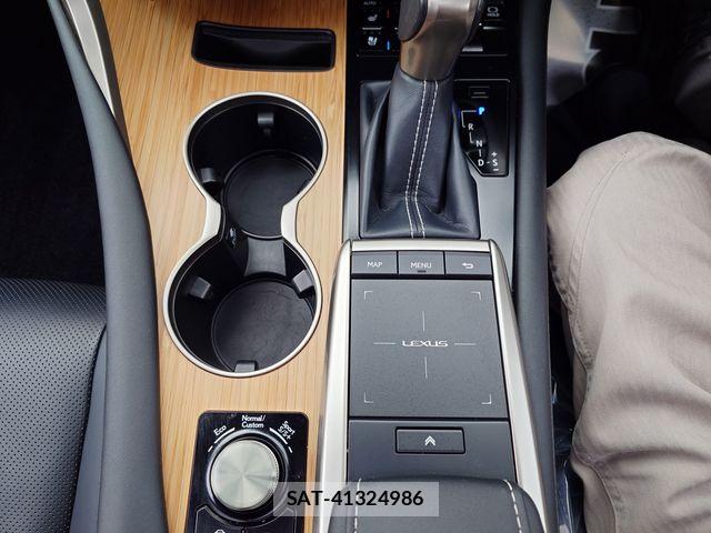 Lexus RX 2019-09 7962460-18