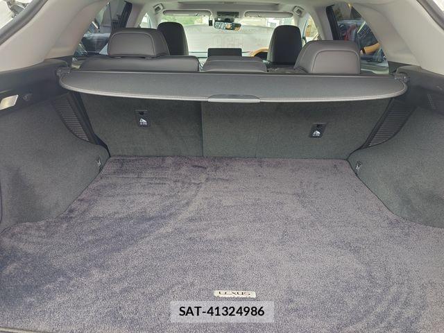 Lexus RX 2019-09 7962460-23