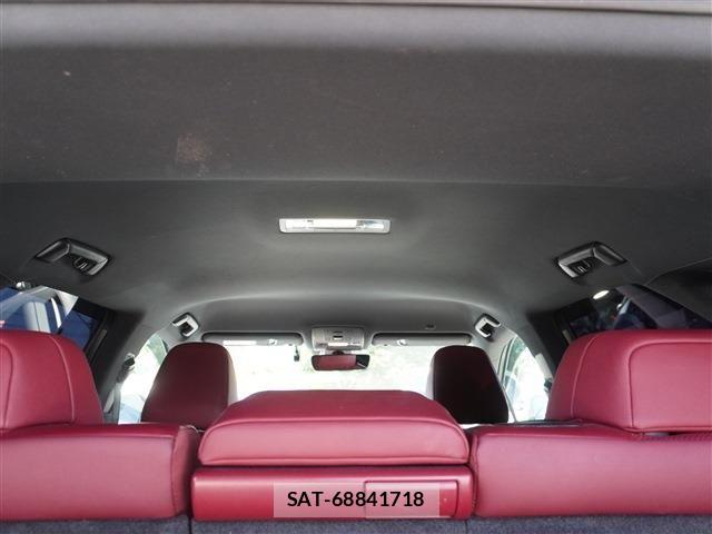 Lexus RX 2018-12 7979802-14