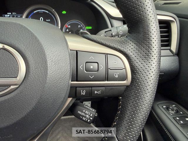 Lexus RX 2021-05 7979800-12