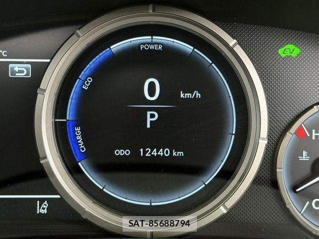 Lexus RX 2021-05 7979800-16