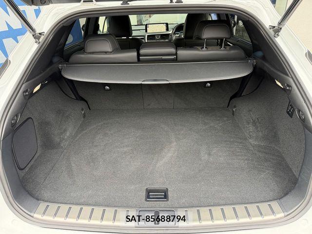 Lexus RX 2021-05 7979800-18