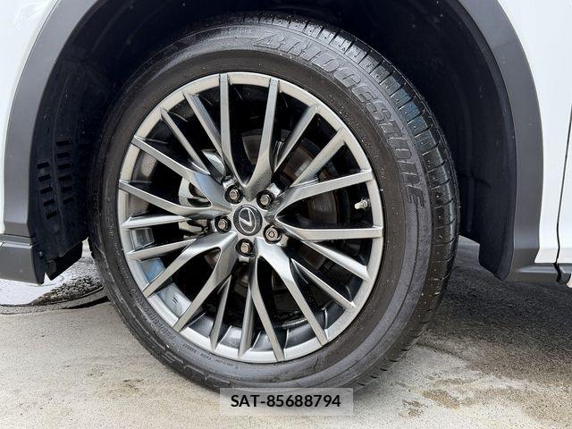 Lexus RX 2021-05 7979800-4